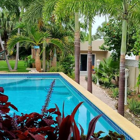Hibiscus Beach House Jan Thiel Ngoại thất bức ảnh